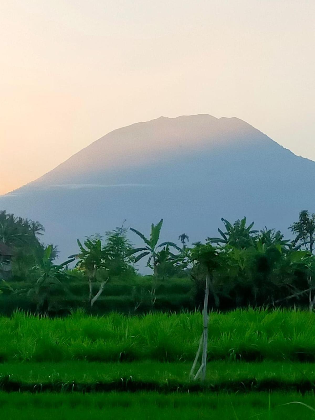 Limun Guesthouse Amlapura エクステリア 写真